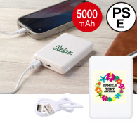 準固体モバイルタンク5000